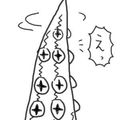 Kotetsu Yamanaka