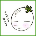 YUMACHI Shin