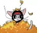 KAMATANI Yuhki