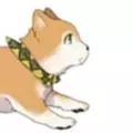 HOONOKI Sora