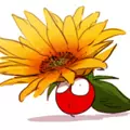 Pina