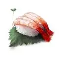 AMAEBI Riko